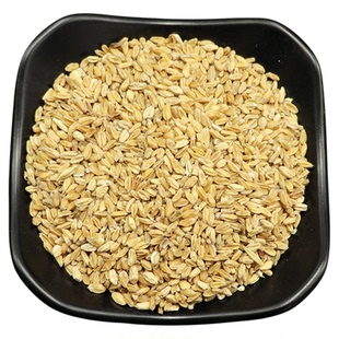 【聚珍良元】浮小麦正品浮麦 怀小麦 茶止汗新货500g非中药材