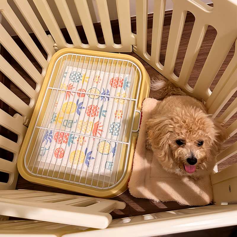 狗狗厕所专用防踩屎中小型犬托盘宠物专用厕所狗狗尿盆定点排便器