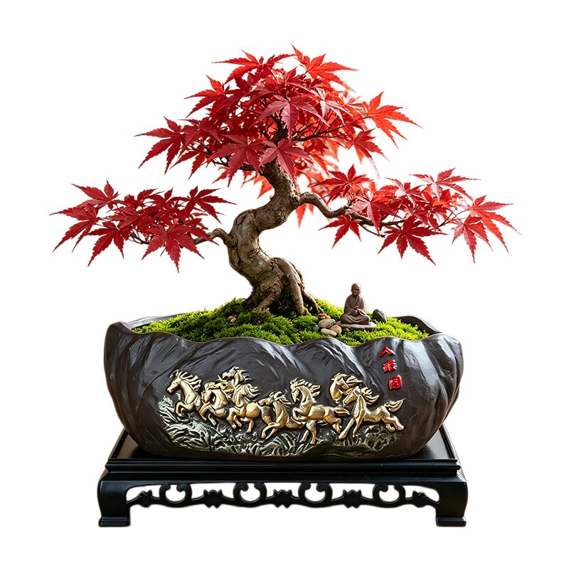 中式浮雕陶瓷盆景花盆土培盆室内桌面迎客松榆树绿植造景栽种盆