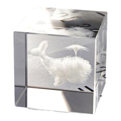 领养一朵云生日礼物送女生