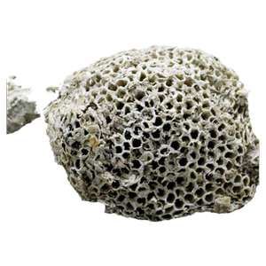 250克露蜂房蜂房野蜂窝