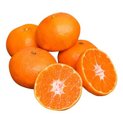 临海涌泉蜜桔正宗薄皮无核