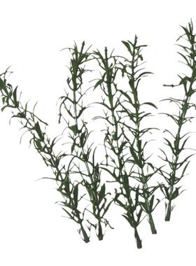 拍照道具植物仿真风烘焙塑料