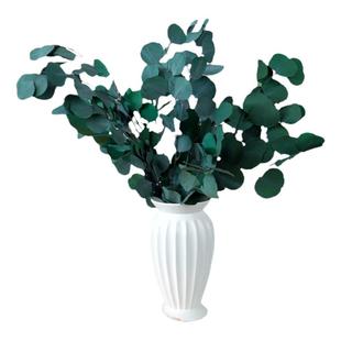 圆叶尤加利苹果叶永生花束拍摄道具北欧风家居装饰摆件桉树叶干花