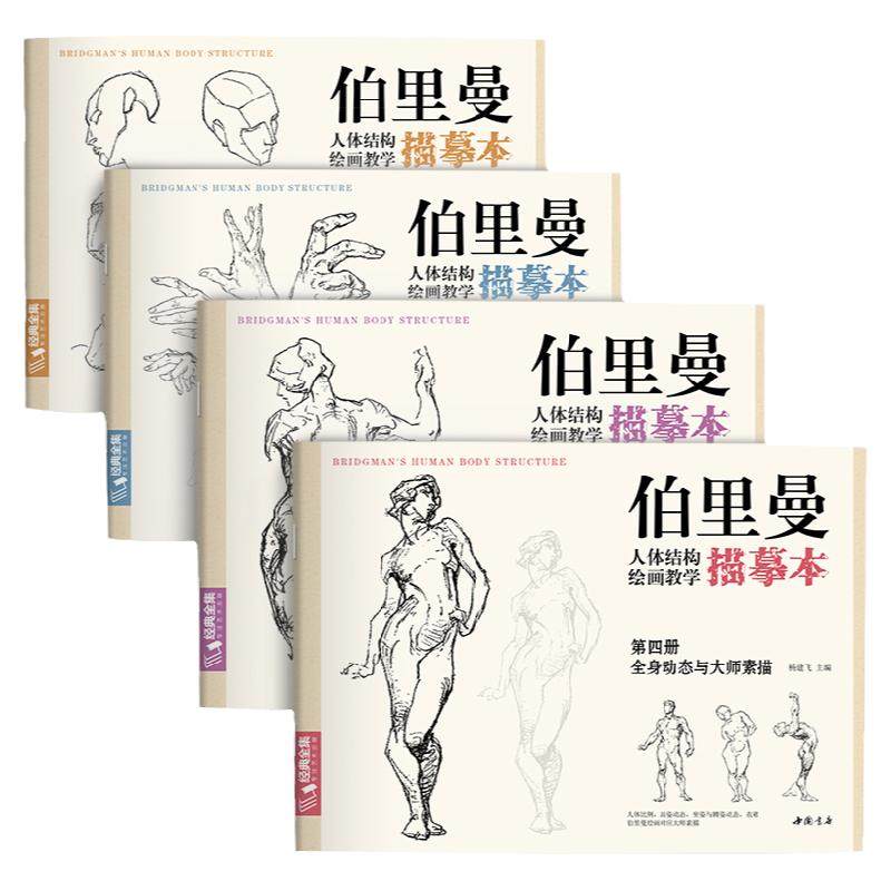 伯里曼人体结构教学描摹本【4册全套】 正版速写人物结构绘画练习教程教材 杨建飞主编