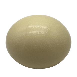 顺丰包邮鸵鸟蛋新鲜食用大号 鸸鹋蛋超大非洲鸵鸟营养蛋 过节送礼