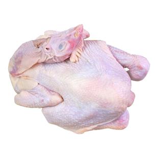 田园居三黄鸡750g/只装净膛冷冻新鲜童子鸡整只顺丰发货