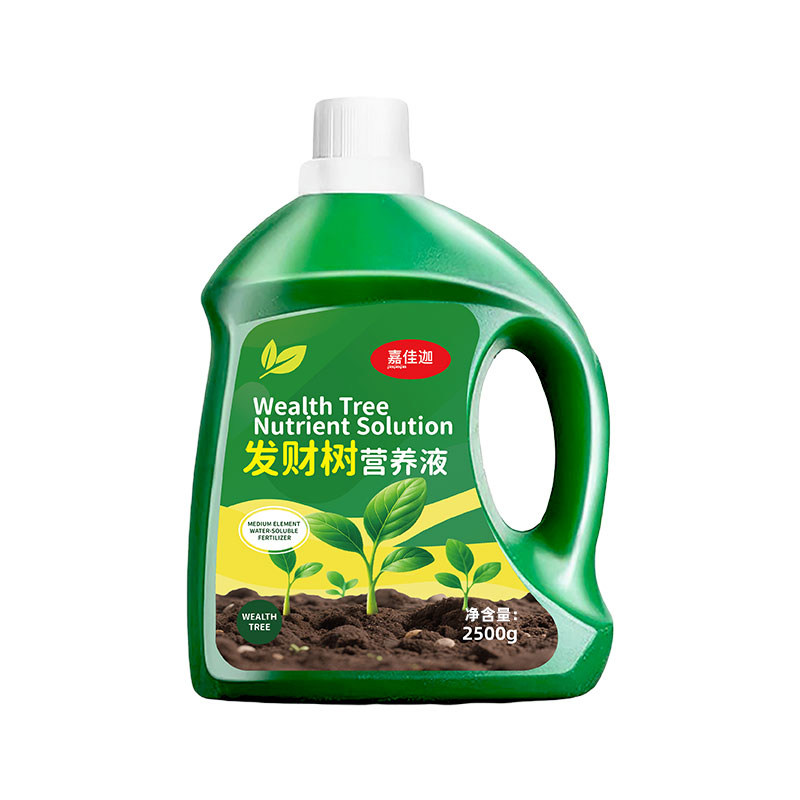 发财树专用营养液防黄叶掉叶