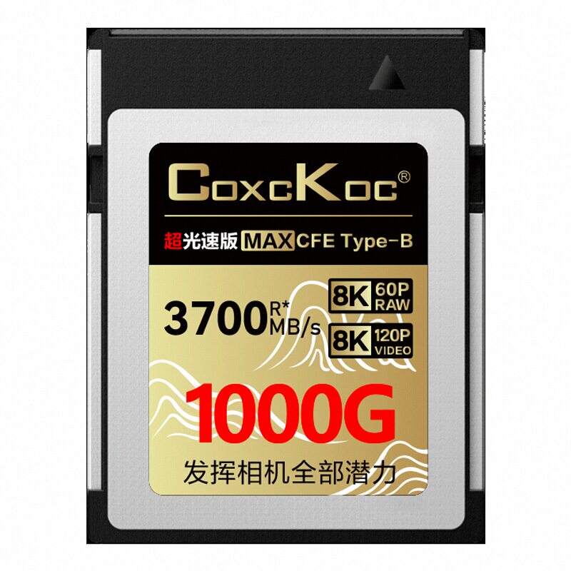 终生质保顺丰空运包邮内存