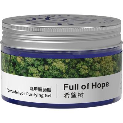 fullofhope去除甲醛新房