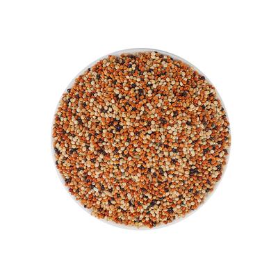 新货五色黍子虎皮牡丹鸟食饲料