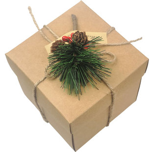 圣诞节装苹果的盒子 森系平安果糖果礼物包装盒 创意圣诞礼物盒空