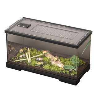 守宫饲养箱睫角鬃狮蜥蜴生态爬宠缸寄居蟹透明雨林造景爬虫饲养盒