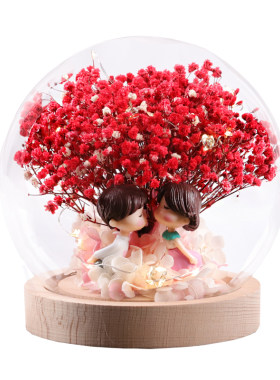 满天星永生花干花摆件真花小夜灯玻璃罩高级感生日礼物送女友男生