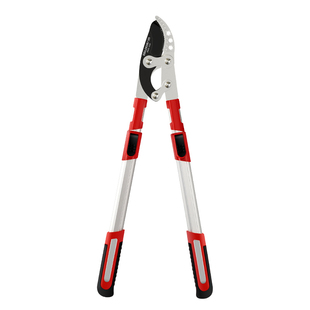 德力西强力剪粗枝剪园林大力剪园艺果树剪修枝剪修剪树枝专用剪刀