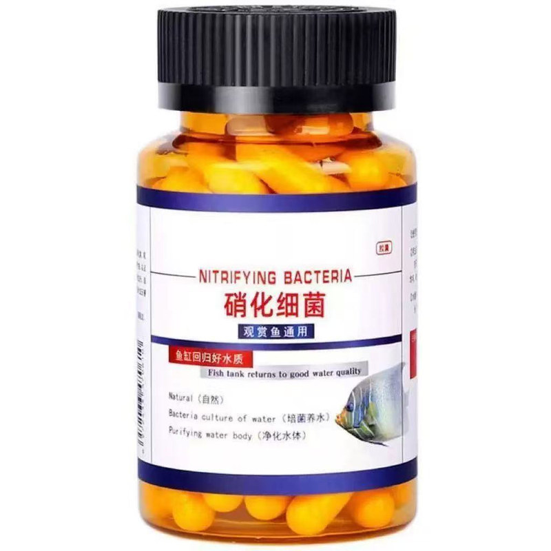 鱼缸硝化菌胶囊分解粪便稳水质