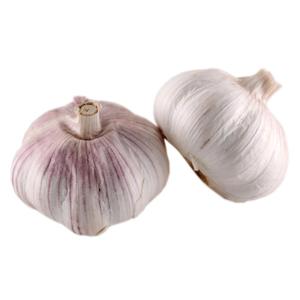 大蒜头干蒜5斤新鲜紫皮大蒜非独头蒜新蒜米干蒜头多瓣金乡大蒜