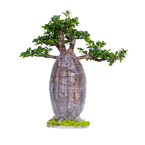 大型仿真植物猴面包树盆景