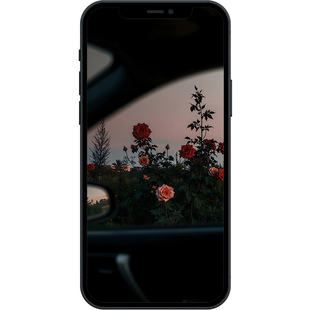 玫瑰与月光氛围感8K超清壁纸iphone苹果安卓手机电脑ipad平板壁纸