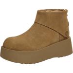 TATA他她女鞋高帮勃肯鞋厚底保暖棉鞋雪地靴加绒毛毛鞋CMC01AD6