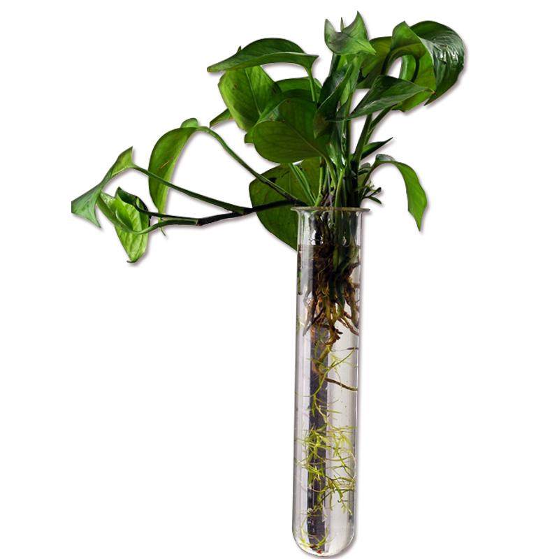 玻璃试管花瓶水培植物花器吊挂