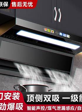半球顶侧双吸油烟机变频家用大吸力低噪音挥手智控自动清洗抽烟机