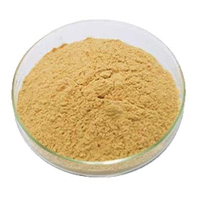 水飞蓟素水飞蓟提取物80%水飞蓟宾奶蓟草熬夜加班白藜芦醇NAD