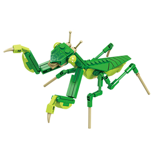 开智积木男孩子拼装玩具女孩益智力拼插昆虫模型动物拼图儿童礼物