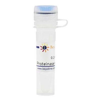 碧云天Beyotime  ST533 Proteinase K 蛋白酶K 20mg/ml