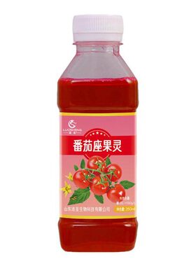番茄专用坐果灵西红柿点花药授粉沾花座果灵喷花保花保果人工水剂
