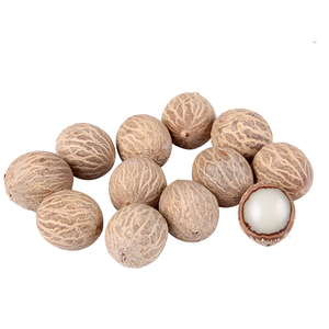白玉菩提根新款菩提子白果原果直径11-30mm 菩提根大果原料论斤卖