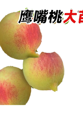 鹰嘴桃广东连平嫁接果苗桃树果苗