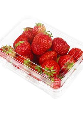 盒工坊一次性塑料水果打包盒