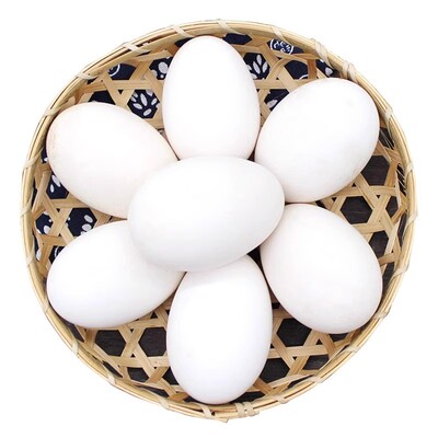 12枚特大生鹅蛋120-140克双黄蛋正宗土鹅蛋农家散养新鲜孕妇精品