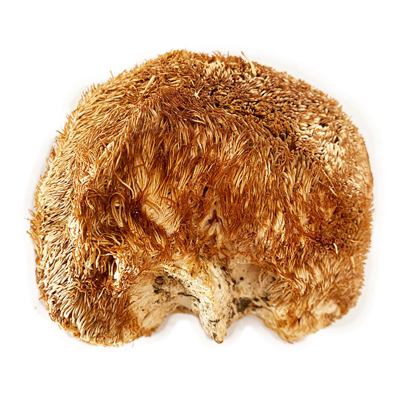 东北深山无硫猴头菇250g干货