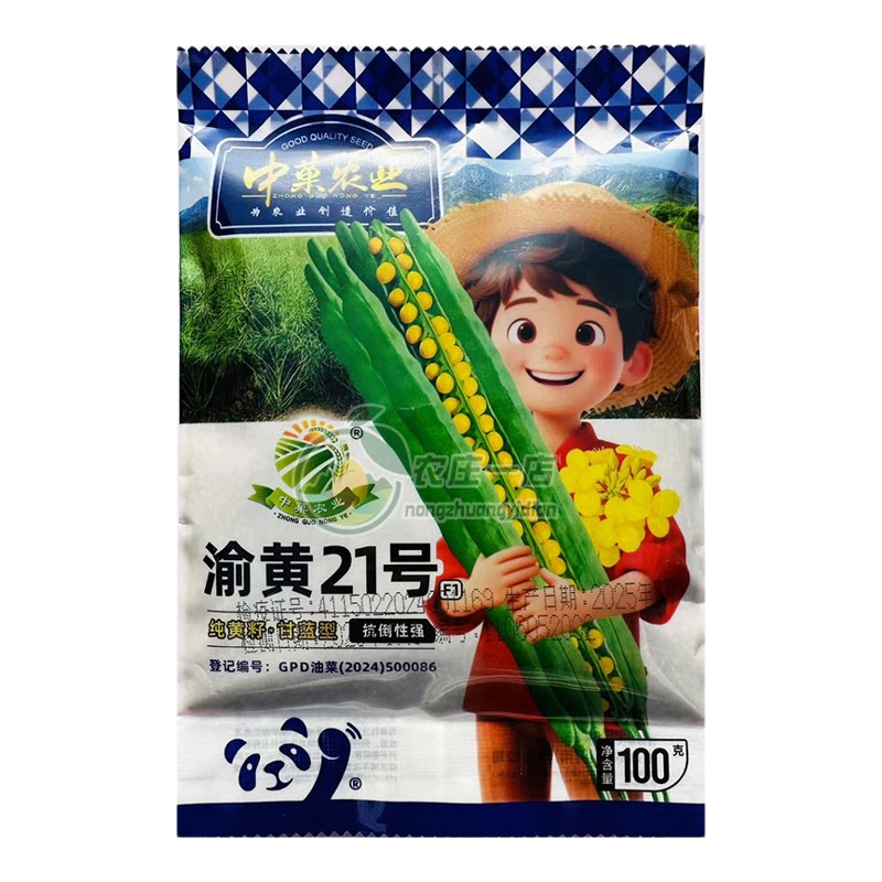 高端油菜种子渝黄21号油菜籽杂交