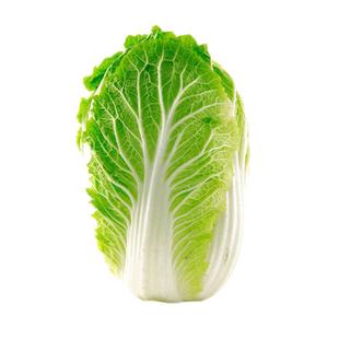 烈日金刚 夏播大白菜种子耐热43度 大田夏季早熟抗病高产越夏种植