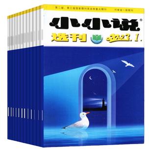 小小说选刊杂志2025年1-12月【2026全/半年订阅】微型小说月报散文民间收获故事会选刊意林青年文学文摘原创短篇小说月刊2024过刊