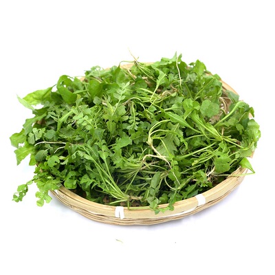 现货嫩干净速冻荠菜野生
