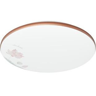 26新欧普LED吸顶灯中古国风山水墨画中日式田园卧室书房灯具饰WS