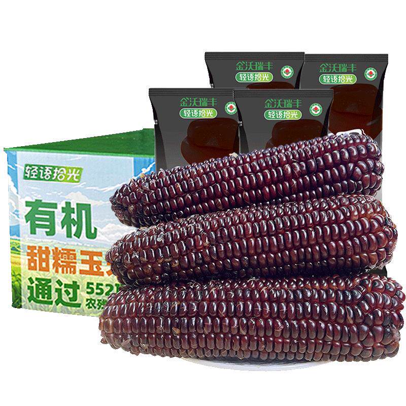 2025年新鲜采摘有机种植黑糯玉米