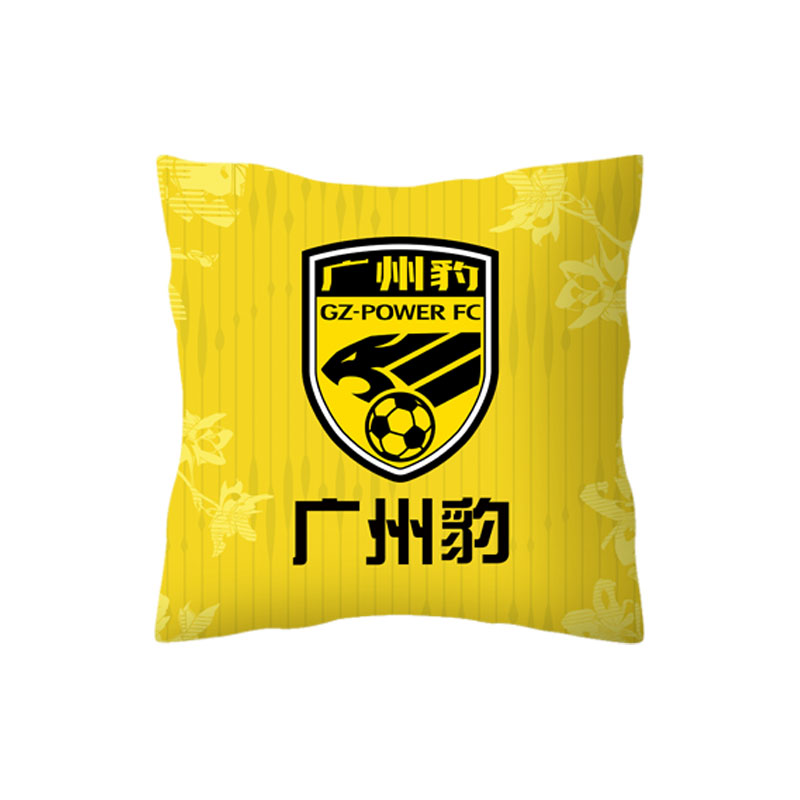 陕西联合广东广州豹队中甲抱枕
