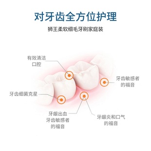 软毛支成人齿牙刷护 龈家庭装 日本狮王细齿洁弹力3装 护牙刷组合装
