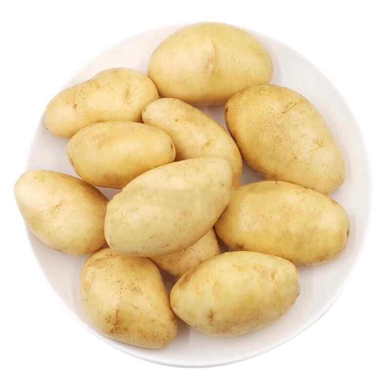 甘肅定西土豆新鮮10斤黃心沙面大洋芋馬鈴薯粉糯農(nóng)家自種高山土豆