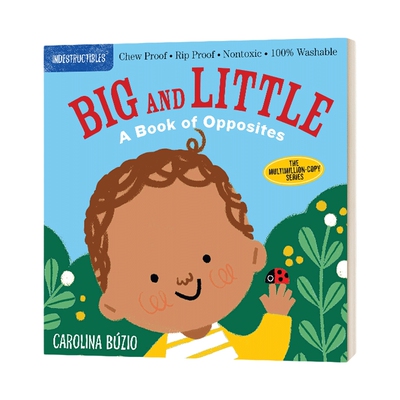 英文原版 防水无毒可咬婴幼儿玩具书：反义词 撕不烂 Indestructibles: Big and Little 低幼0-2岁绘本