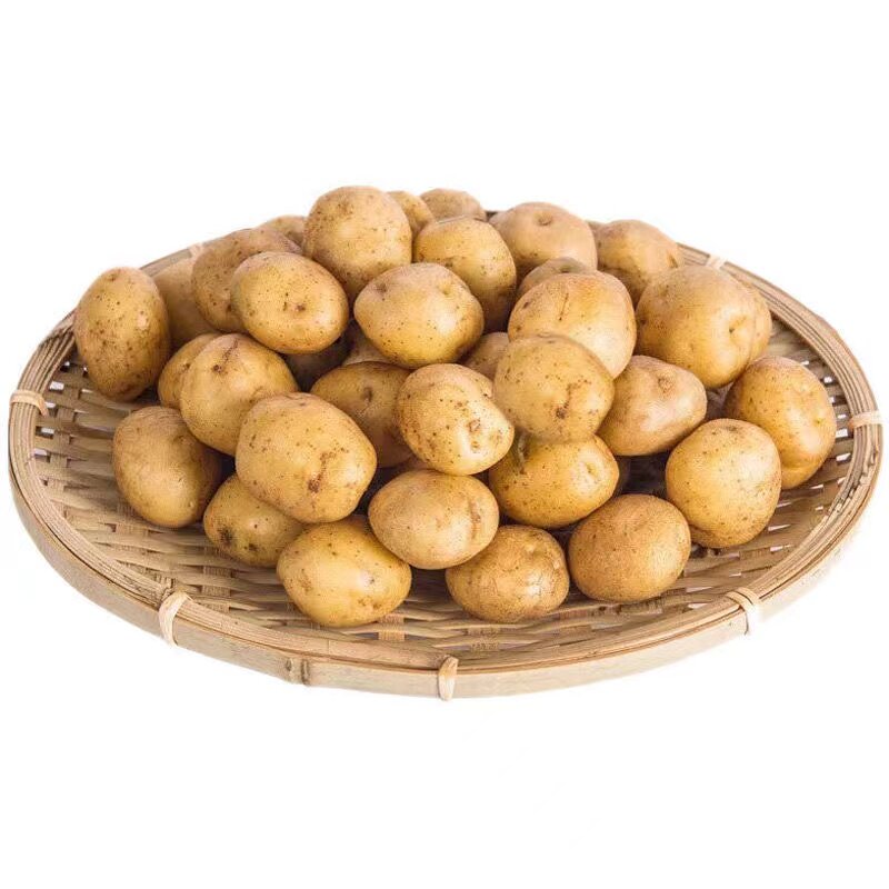 东北黄心小土豆新鲜迷你