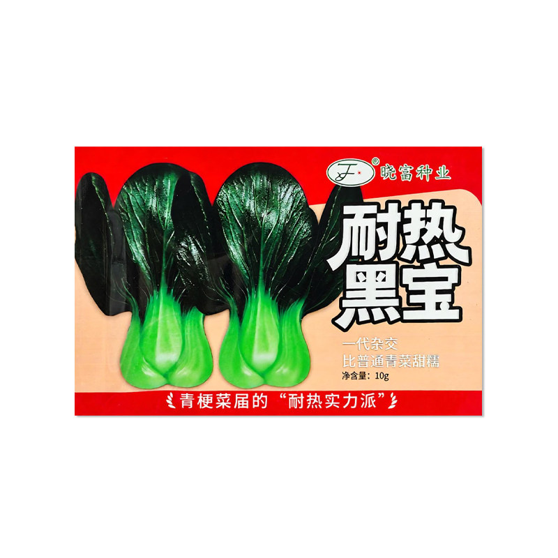 晓富耐热黑宝青梗菜种子