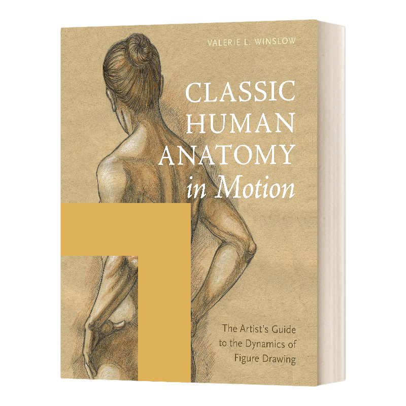 英文原版 Classic Human Anatomy in Motion 经典人体解剖学运动图典 关于运动如何改变人类形象的艺术理解 精装 进口英语原版书籍