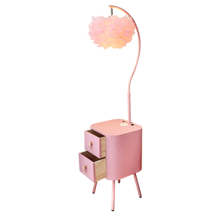 奶油风羽毛落地灯少女心卧室床头柜台灯一体置物架客厅智能氛围灯