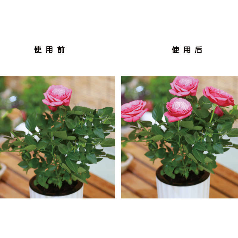 农邦主磷酸二氢钾园艺花肥料养花通用型月季多肉盆栽花卉绿植蔬菜